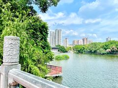 -荔湾湖公园