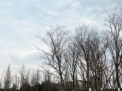 -府河摄影公园