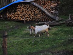 -硗碛藏寨·神木垒景区