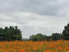 -长广溪湿地公园