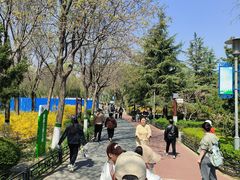 -大兴滨河森林公园