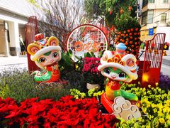 -越秀西湖花市(广州城市广场花卉店)