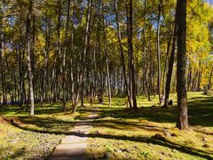 -硗碛藏寨·神木垒景区