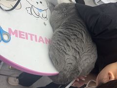 -FAELING PETS美天灵宠物(富力广场店)