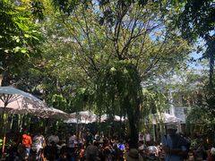 -Fern Forest Cafe