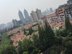 -上海市普陀区中心医院