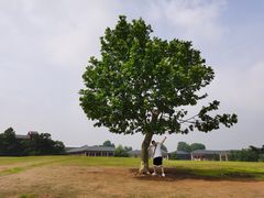 -钟山体育运动公园