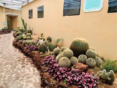-正佳雨林生态植物园