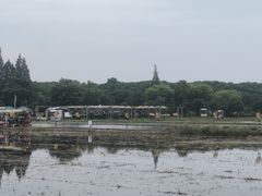 -嘉北郊野公园