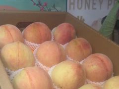 -老袁家蜜桃农场·阳山水蜜桃