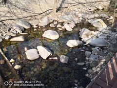 -崂山九水游览区