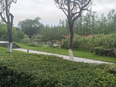 -桂溪生态公园