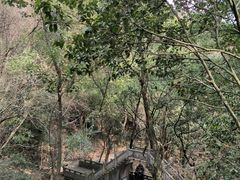 -宁波市保国寺古建筑博物馆