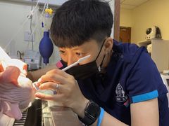 -美联众合动物医院·24h转诊中心
