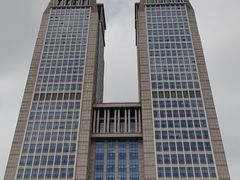 -历史系光华楼西楼19