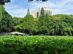 -西南交通大学(九里校区)