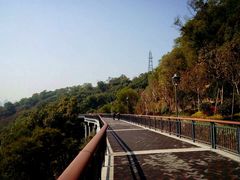 -金鸡山公园