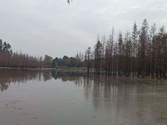-白鹭湾湿地公园