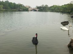 -上海怡沁园度假酒店