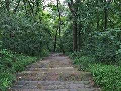 -紫金山索道-售票处