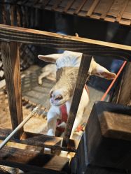 -酷嗒动物文化乐园(cutezoo西溪乐天城店)