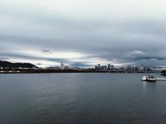 -杜甫江阁