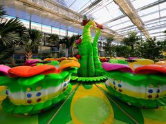 -南宫五洲植物乐园