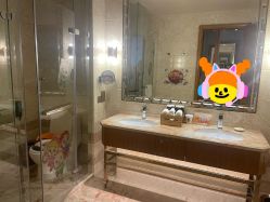 -星河湾酒店·宴会厅(番禺大道北店)