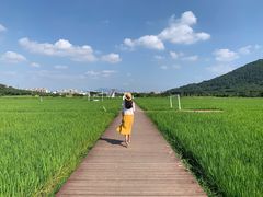 -艾米稻香小镇