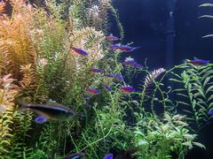 -上海海洋水族馆