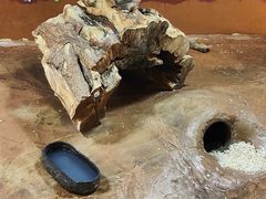 -秦皇岛新澳海底世界