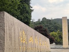 -铁山坪森林公园