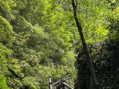-神龙峡风景区