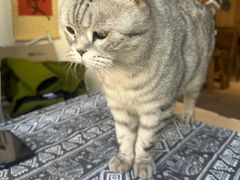 -甲乙丁書店·书茶咖·四合院