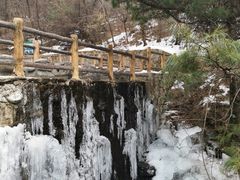 -王顺山国家森林公园