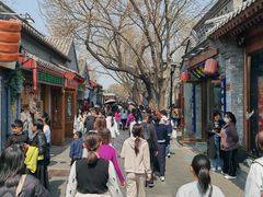-后海公园