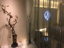 -康颜SPA自然疗愈皮肤管理中心
