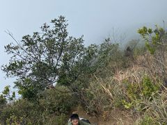 -鸡枕山