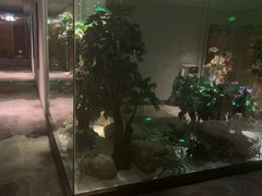 -世外桃源水疗会(皇庭彩园店)