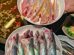 -石锅苗苗鱼(武汉首店)