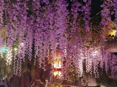 -庭院江南菜•烤鸭•非遗传承(丰台总部基地店)