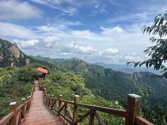 -大岭沟猕猴桃谷风景区