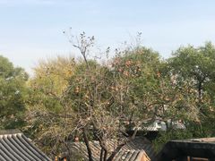 -糖房咖啡(南锣鼓巷店)