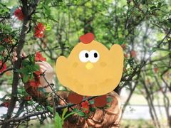-成都南湖公园