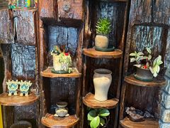 -慢丽江·云南野生菌土鸡锅(付家庄店)