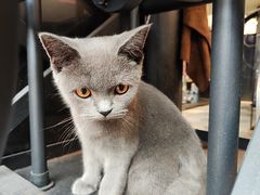 -IN COFFEE LAB 隐咖啡