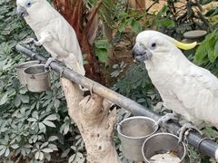 -南宫五洲植物乐园