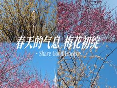 -汉口江滩-五福广场