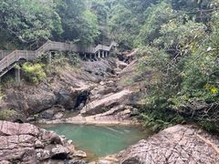 -广州白江湖森林公园