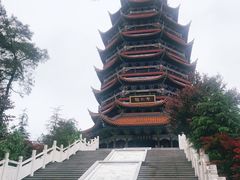 -铁山坪森林公园